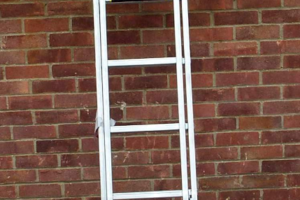 Ladder